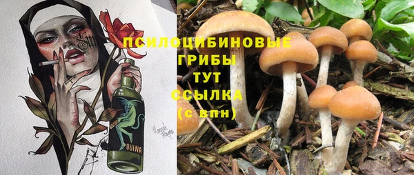 синтетический гашиш Богородск